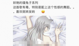 成人视频聊天,隐私与风险的边界探索